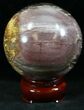 Colorful Petrified Wood Sphere #26618-2